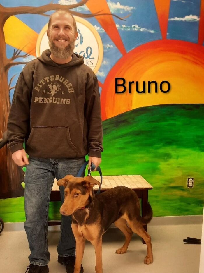 A Viral AI Video Showed Dogs Choosing Their Humans, And One Shelter Decided To Try It in Real Life (40 Pics)