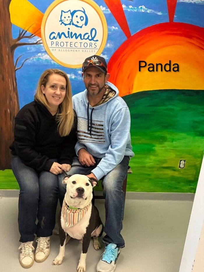 A Viral AI Video Showed Dogs Choosing Their Humans, And One Shelter Decided To Try It in Real Life (40 Pics)