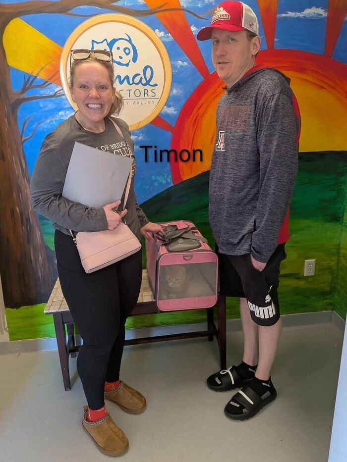 A Viral AI Video Showed Dogs Choosing Their Humans, And One Shelter Decided To Try It in Real Life (40 Pics)