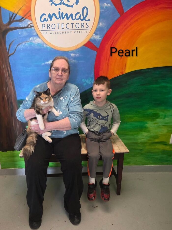 A Viral AI Video Showed Dogs Choosing Their Humans, And One Shelter Decided To Try It in Real Life (40 Pics)