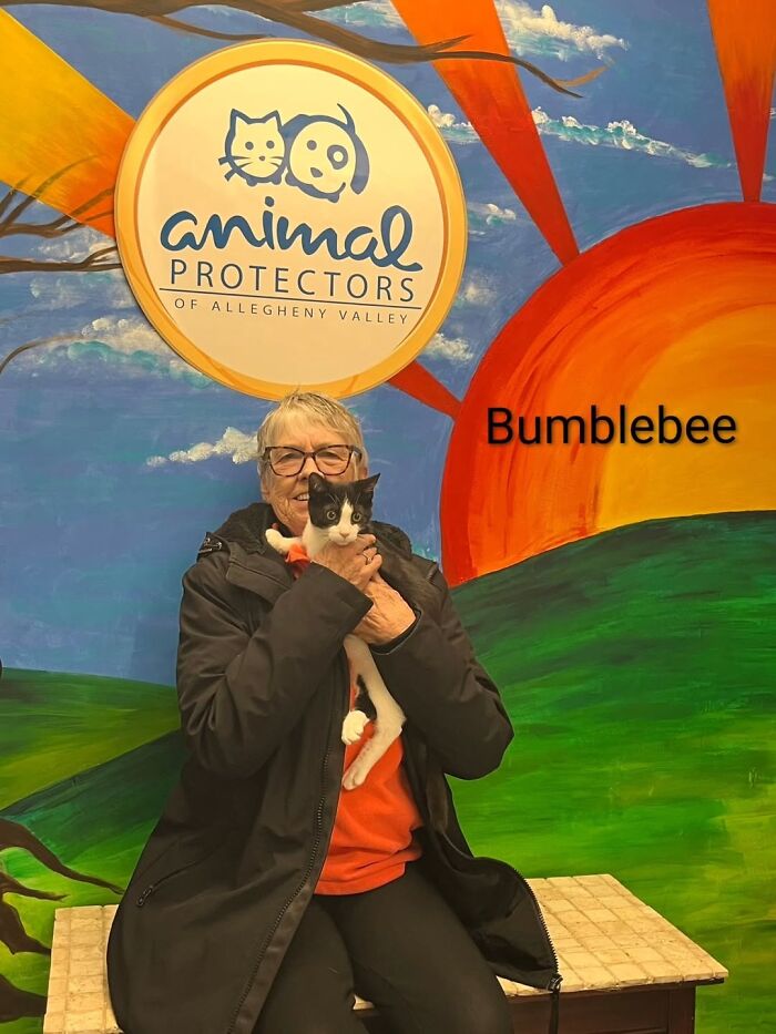 A Viral AI Video Showed Dogs Choosing Their Humans, And One Shelter Decided To Try It in Real Life (40 Pics)