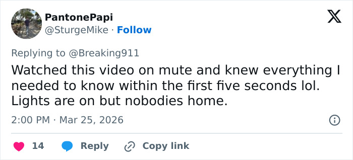 Internet Explodes Over Brooklyn Man&rsquo;s Priceless Reaction To ICE At The Airport