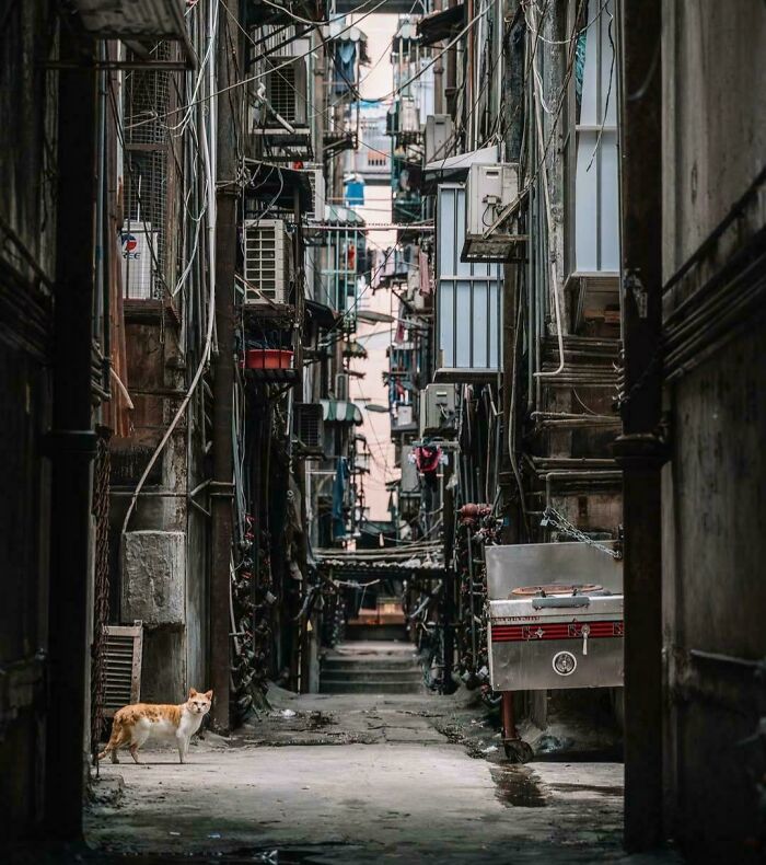 “This Is Insanity”: 83 Dystopian ‘Urban Hell’ Photos That Show The True Price Of Modern Life (New Pics) “This Is Insanity”: 83 Dystopian ‘Urban Hell’ Photos That Show The True Price Of Modern Life (New Pics)