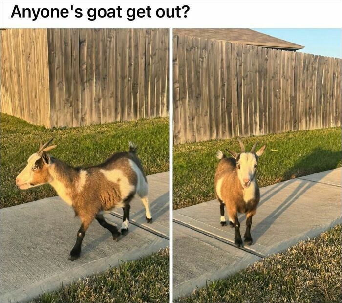 61 Amusing But Also Concerning Things People Shared In Facebook Groups