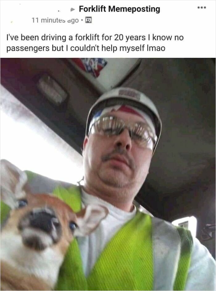 61 Amusing But Also Concerning Things People Shared In Facebook Groups