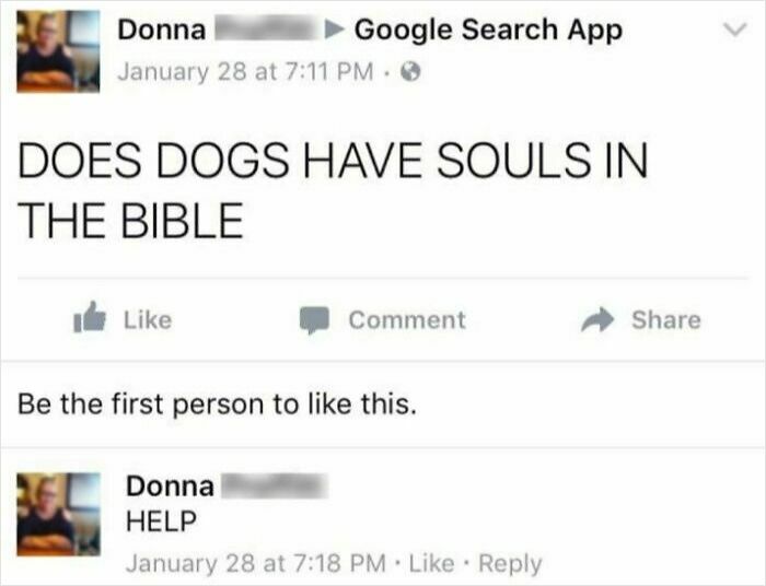 61 Amusing But Also Concerning Things People Shared In Facebook Groups