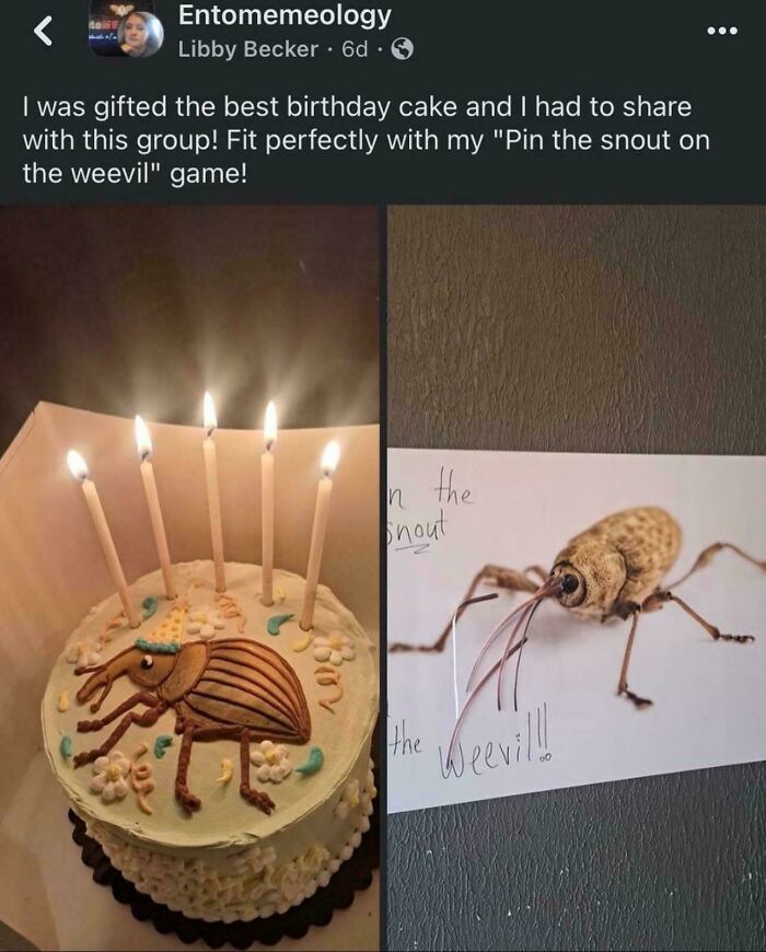 61 Amusing But Also Concerning Things People Shared In Facebook Groups