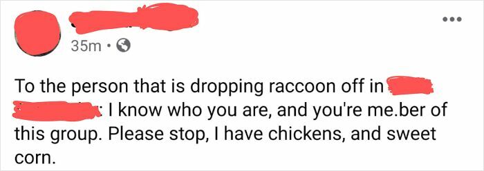 61 Amusing But Also Concerning Things People Shared In Facebook Groups