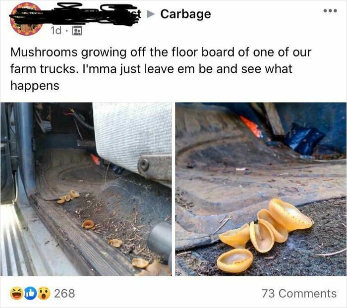 61 Amusing But Also Concerning Things People Shared In Facebook Groups