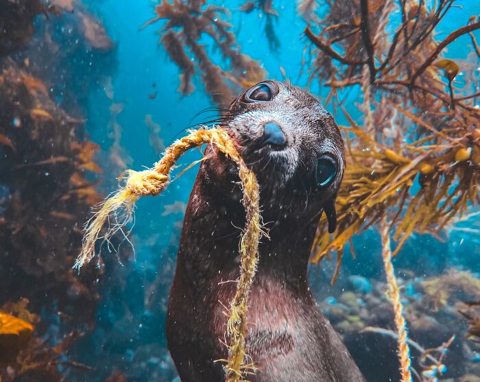 38 Winning Shots From This Year&rsquo;s Mobile Photography Awards