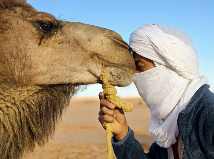 38 Winning Shots From This Year&rsquo;s Mobile Photography Awards