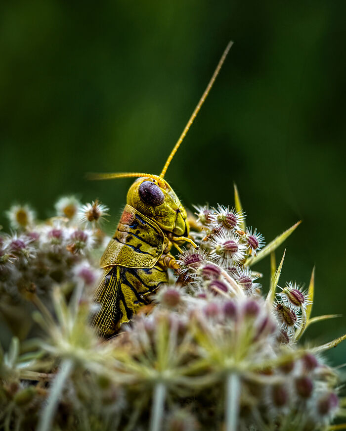 38 Winning Shots From This Year&rsquo;s Mobile Photography Awards