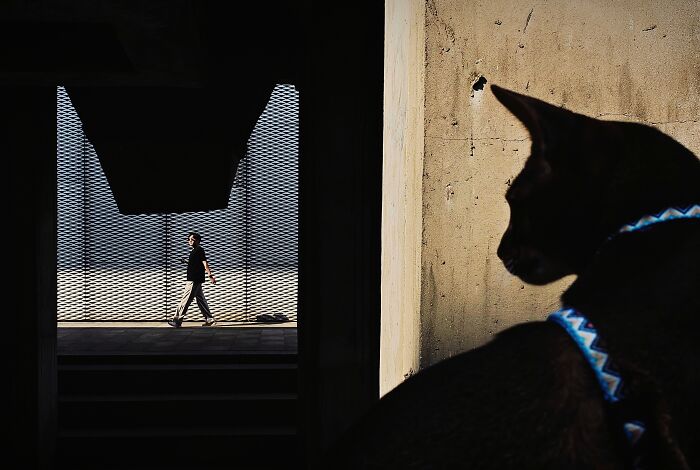 38 Winning Shots From This Year&rsquo;s Mobile Photography Awards