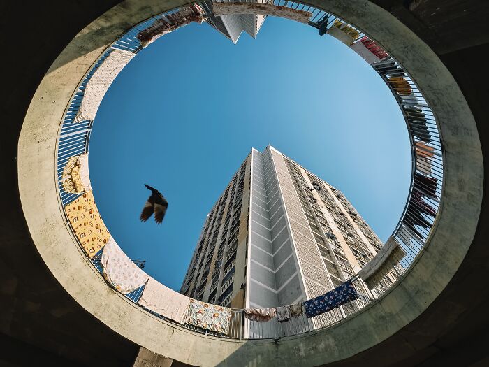 38 Winning Shots From This Year&rsquo;s Mobile Photography Awards