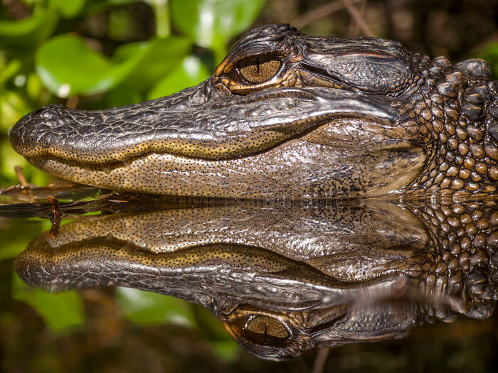 38 Winning Shots From This Year&rsquo;s Mobile Photography Awards