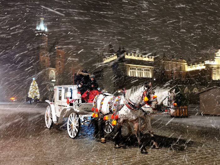 38 Winning Shots From This Year&rsquo;s Mobile Photography Awards