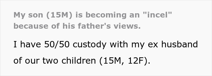 Woman Divorced Ex For Cheating, And Now He Is Using Their Son To Continue The War Against Her