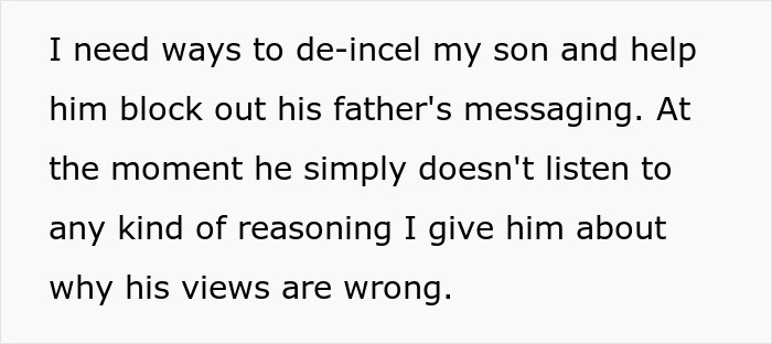 Woman Divorced Ex For Cheating, And Now He Is Using Their Son To Continue The War Against Her