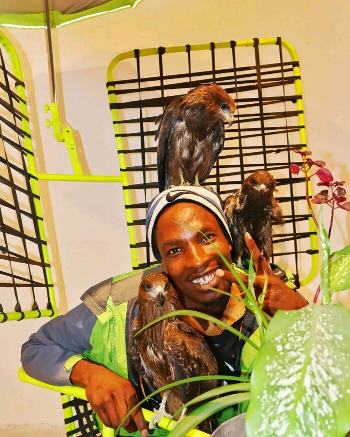 After Losing Everything, This Man Found Purpose In Rescuing Birds On Nairobi&rsquo;s Streets
