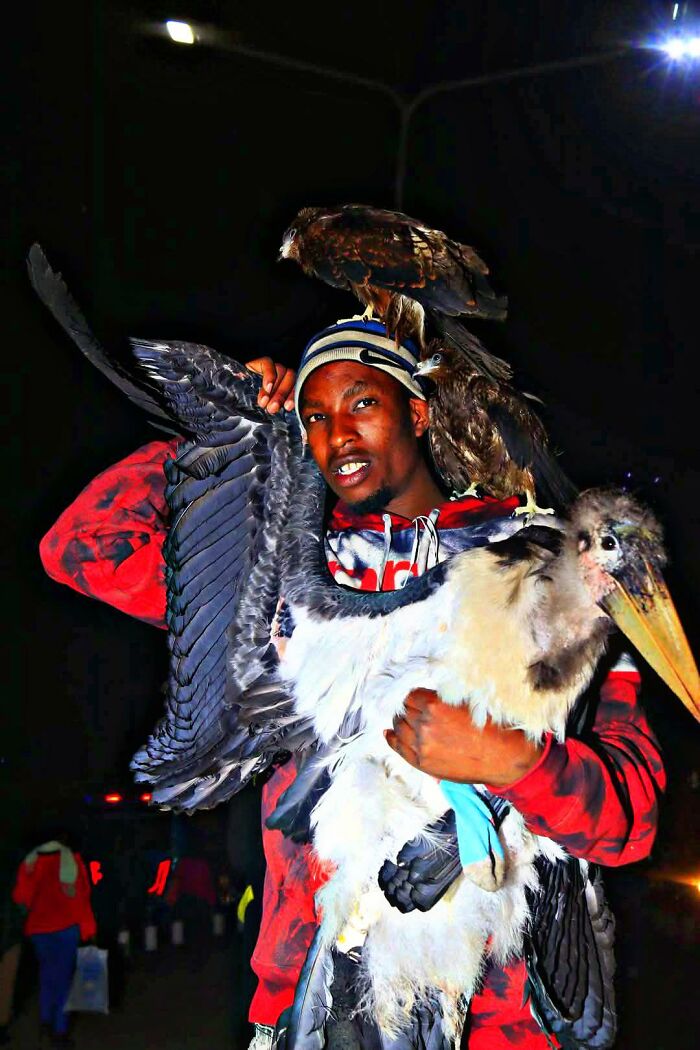 After Losing Everything, This Man Found Purpose In Rescuing Birds On Nairobi&rsquo;s Streets