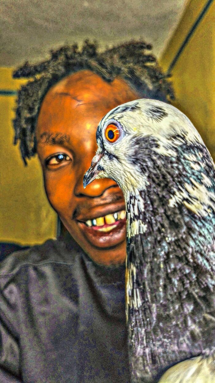 After Losing Everything, This Man Found Purpose In Rescuing Birds On Nairobi&rsquo;s Streets