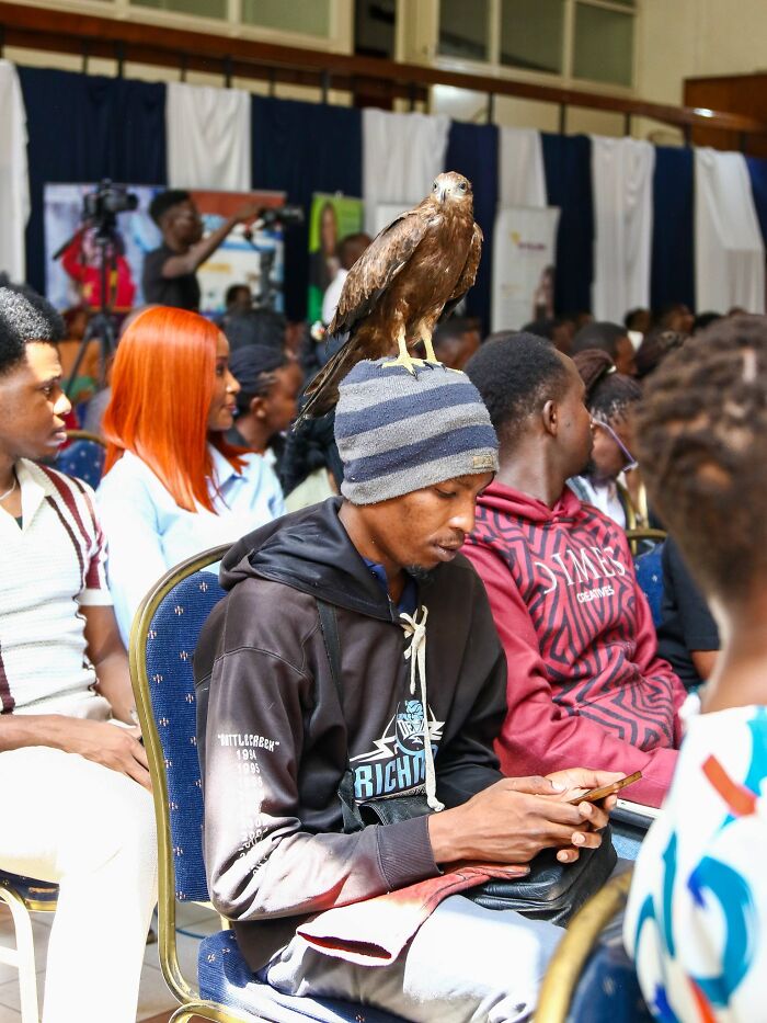 After Losing Everything, This Man Found Purpose In Rescuing Birds On Nairobi&rsquo;s Streets
