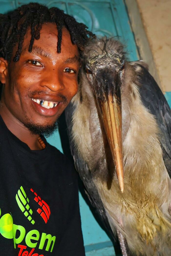 After Losing Everything, This Man Found Purpose In Rescuing Birds On Nairobi&rsquo;s Streets