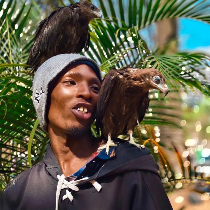 After Losing Everything, This Man Found Purpose In Rescuing Birds On Nairobi&rsquo;s Streets