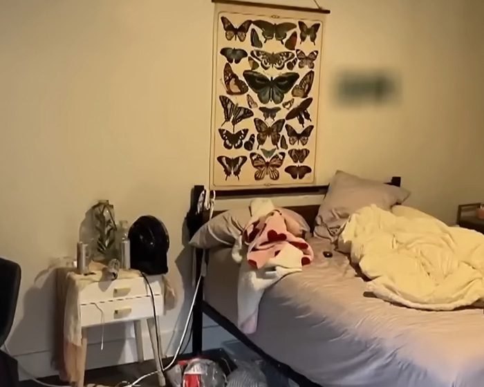 Chilling Moment Bryan Kohberger Discusses His College Homicides With DMV Worker