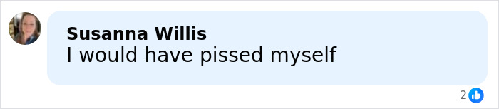 Chilling Moment Bryan Kohberger Discusses His College Homicides With DMV Worker