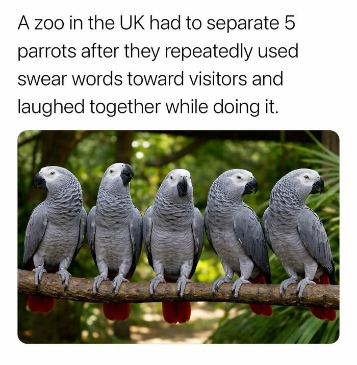 &ldquo;Can&rsquo;t Make This Up&rdquo;: 79 Surprising Facts You May Not Be Able To Forget (New Pics)