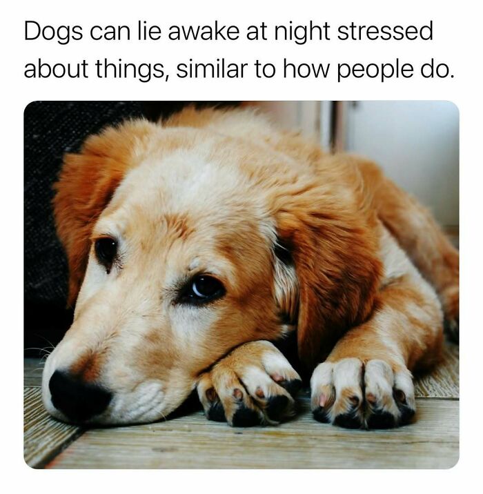 &ldquo;Can&rsquo;t Make This Up&rdquo;: 79 Surprising Facts You May Not Be Able To Forget (New Pics)