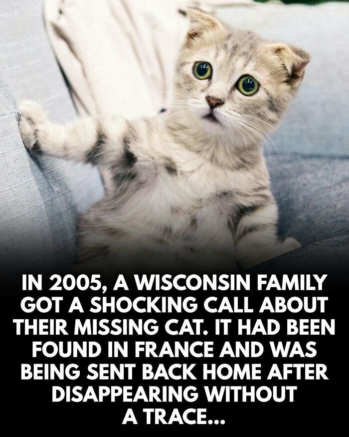 &ldquo;Can&rsquo;t Make This Up&rdquo;: 79 Surprising Facts You May Not Be Able To Forget (New Pics)