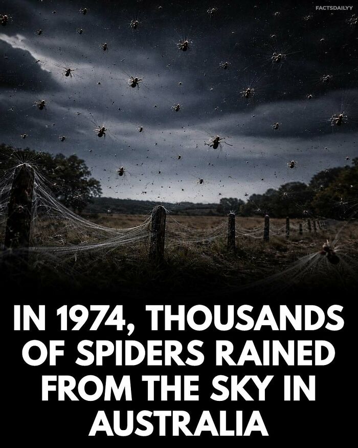 &ldquo;Can&rsquo;t Make This Up&rdquo;: 79 Surprising Facts You May Not Be Able To Forget (New Pics)