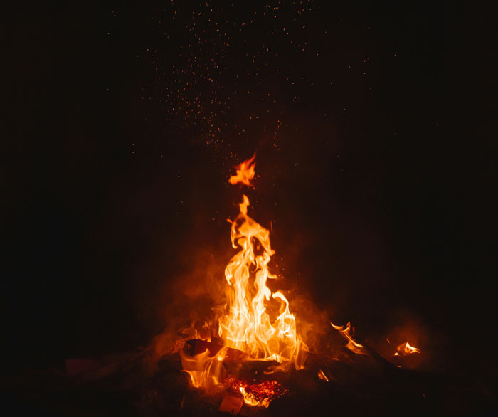 &ldquo;I&rsquo;ll Always Trust My Instincts&rdquo;: 45 Terrifying Things People Saw Or Heard In The Woods