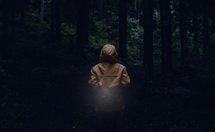 &ldquo;I&rsquo;ll Always Trust My Instincts&rdquo;: 45 Terrifying Things People Saw Or Heard In The Woods