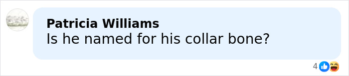 Controversial ‘Looksmaxxing’ Influencer Clavicular Arrested In Florida On Battery Charges