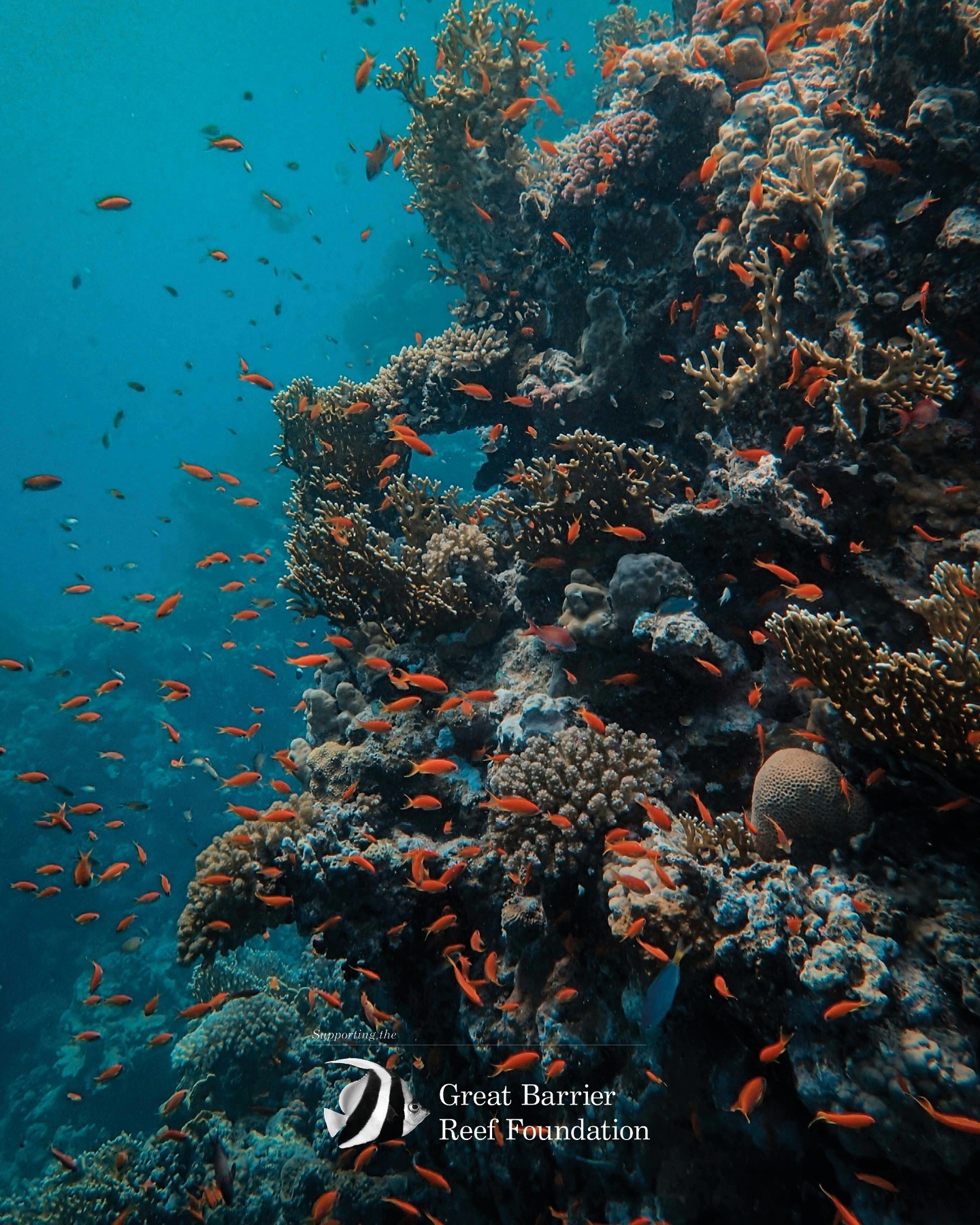 20 Natural Wonders That Might Not Exist In 50 Years