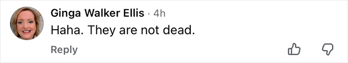 John F. Kennedy Jr.&rsquo;s Eerie Final Words To Flight Instructor Before The Crash That Ended In Tragedy