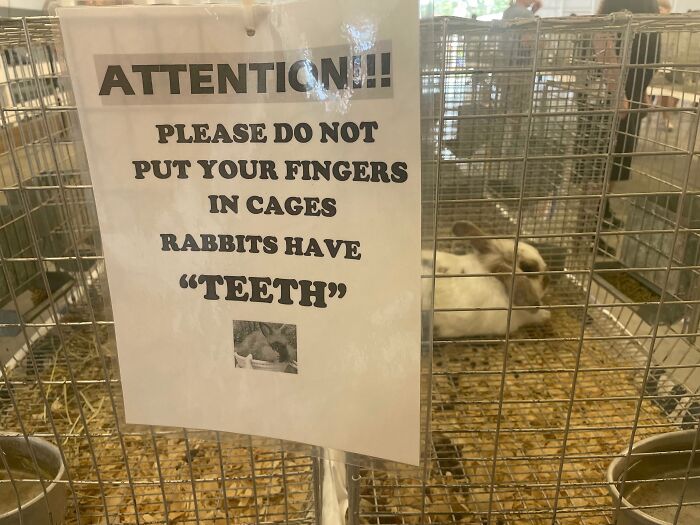 51 Signs That Put Quotation Marks In Places That Made Everything Sound Hilariously Suspicious (New Pics) 51 Signs That Put Quotation Marks In Places That Made Everything Sound Hilariously Suspicious (New Pics)