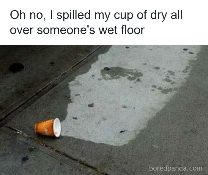 If You Need Memes To Function Properly, You Might Find These 57 Entertaining