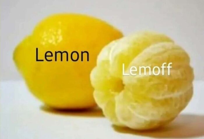 If You Need Memes To Function Properly, You Might Find These 57 Entertaining