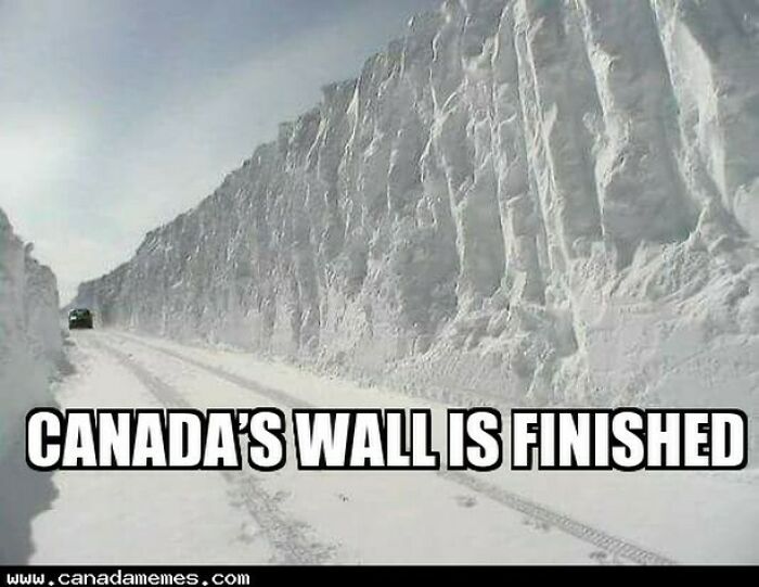 55 Hilarious Canada Memes That Might Give You A Serious Craving For Poutine 55 Hilarious Canada Memes That Might Give You A Serious Craving For Poutine