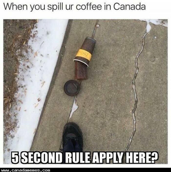 55 Hilarious Canada Memes That Might Give You A Serious Craving For Poutine 55 Hilarious Canada Memes That Might Give You A Serious Craving For Poutine