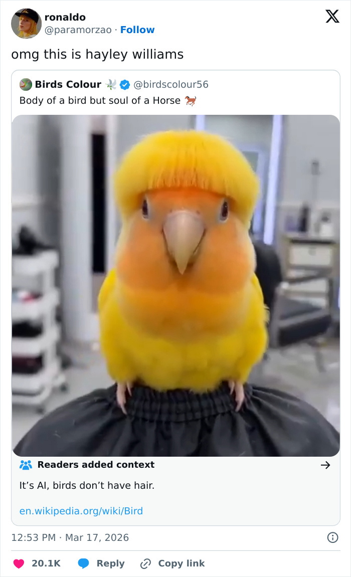 “The US Doesn’t Feel Like A Real Place”: 83 Funny Tweets That Had The Internet Laughing All March