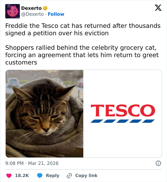 “The US Doesn’t Feel Like A Real Place”: 83 Funny Tweets That Had The Internet Laughing All March