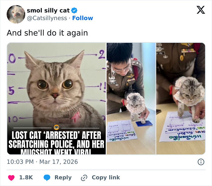 “The US Doesn’t Feel Like A Real Place”: 83 Funny Tweets That Had The Internet Laughing All March