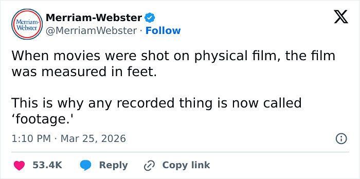 “The US Doesn’t Feel Like A Real Place”: 83 Funny Tweets That Had The Internet Laughing All March