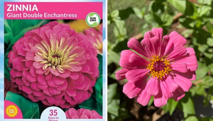 65 Side-By-Side Pics Making Showing How Disappointing Reality Is 65 Side-By-Side Pics Making Showing How Disappointing Reality Is