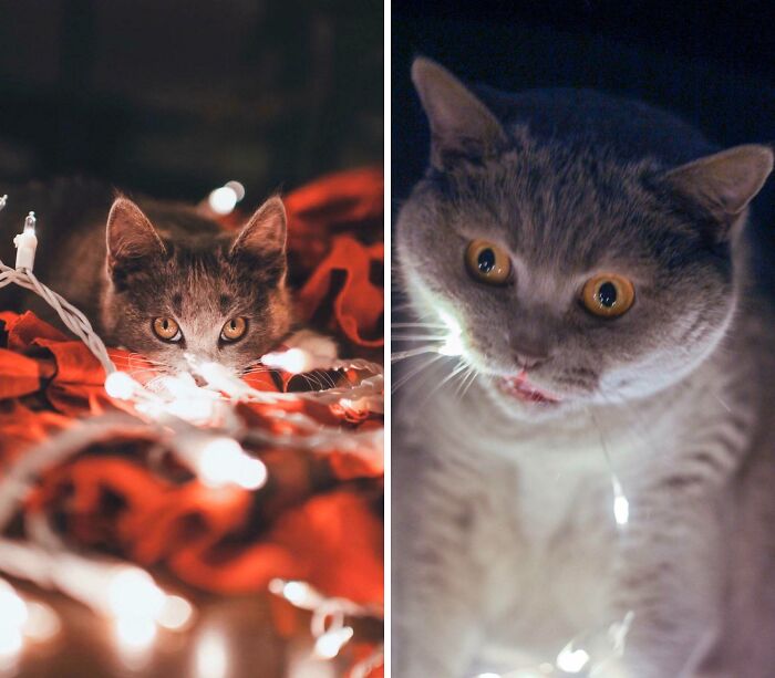 65 Side-By-Side Pics Making Showing How Disappointing Reality Is 65 Side-By-Side Pics Making Showing How Disappointing Reality Is